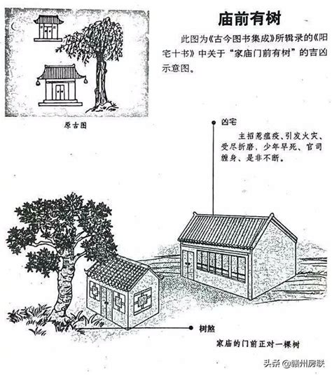 風水燈泡數目|家居風水系列之